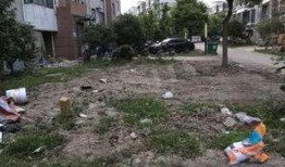 海阳吃瓜最新事件爆料埠南村,埠南村最新爆料揭秘